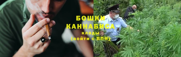 ГАЛЛЮЦИНОГЕННЫЕ ГРИБЫ Алексин