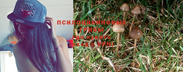 ГАЛЛЮЦИНОГЕННЫЕ ГРИБЫ Алексин
