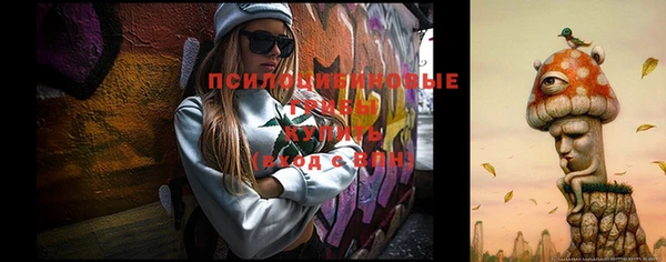 ешки Алексеевка
