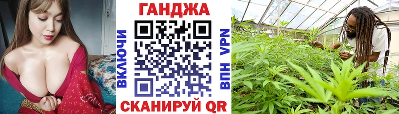 Конопля тримм  как найти наркотики  Бабаево 